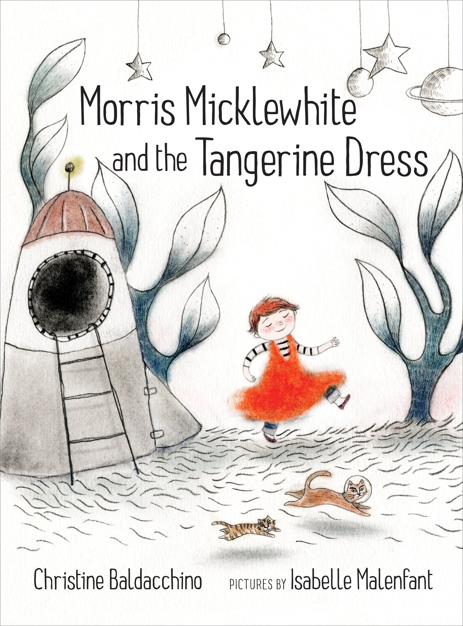 Cover image for Morris Micklewhite and the Tangerine Dress ISBN 9781554983476